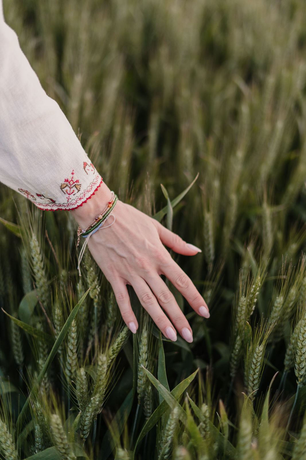 Hand in the wheat